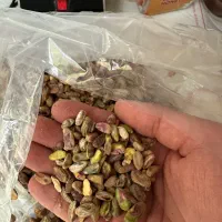 مغز پسته پاک شده|خوردنی و آشامیدنی|تهران, اباذر|دیوار