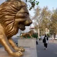 نیروی اقا و خانم