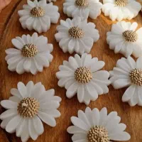 گل بابونه گیفت