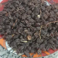 گردو وکشمش|حراج|امام, |دیوار