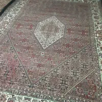 فرش دست بافت 6متری|فرش|زنجان, |دیوار