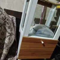 آکواریوم ماهی|ماهی|بوکان, |دیوار