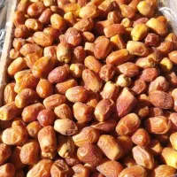 زاهدی سوپر فراشبند|خوردنی و آشامیدنی|شیراز, نصر|دیوار