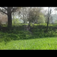 زمین با صفا درنصرآباد به همراه یک ‌جرئه آب