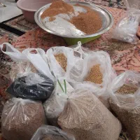 قوتو اصل ،قاووت