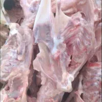 کارگر  حرفه ای وبی خص کار مرغ