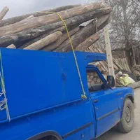 خریدار چوب سقفی|خدمات باغبانی و درختکاری|نیشابور, شهید بهشتی|دیوار