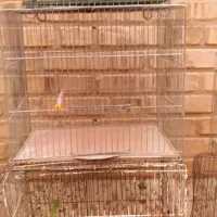 تابلوهای زیبای تزیینی ،پنکه سقفی،قفس|پنکه و تصفیهکنندهٔ هوا|دزفول, |دیوار