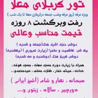 کاروان زیارتی سیدالشهدا رفت برگشت 8 روز