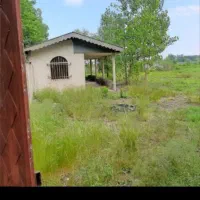 زمین یک هکتاری شکاری در نزدیکی دریا ی کاسپین