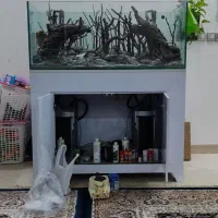 اکواریوم apa 120 در ۶۰ در ۶۰ ریملس با پایه