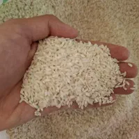 برنج عنبربو خوزستان|خوردنی و آشامیدنی|سبزوار, پاسداران|دیوار