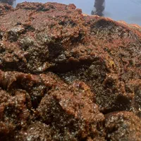 حلوا سیاه|خدمات پذیرایی، مراسم|اردبیل, |دیوار