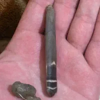 عرج سواحل و زوعه مار