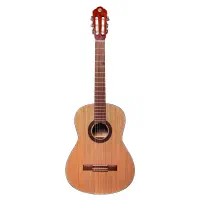 گیتار مت ۲ پلاس براق