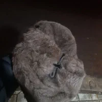 کلاه پشمی زمستونی