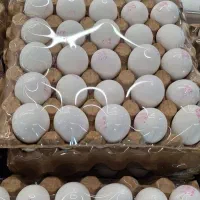 حراج تا پایان مهر
