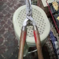 قیچی