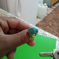 انگشتر اصل