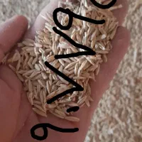 جودیم.قره آرپا