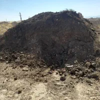 کود حیوانی