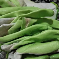 دست کش کارطاها