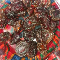 زردآلوی آفتابی وآلوچه خشک|خوردنی و آشامیدنی|سهند, |دیوار