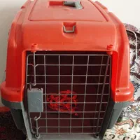 یک عددباکس متوسط گربه