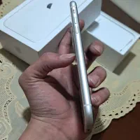iphone 11 پک اصلی 64 gig|موبایل|تهران, ابوذر|دیوار