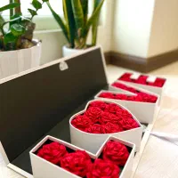 گروه موسیقی سوپرایز و باکس قزوین سفارش از راه دور