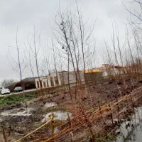 فروش یا معاوضه زمین ۱۲۰۰ تجاری در گیلان. رشت|فروش زمین و ملک کلنگی|تولم شهر, |دیوار