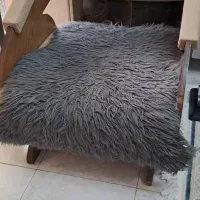 فرش وصندلی|فرش|بندر انزلی, معلم|دیوار