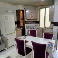 سند تک برگ/رو به نما/ آسانسور/