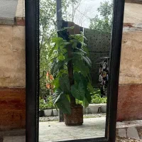آینه قدی