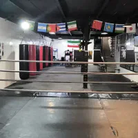 رزمی،کونگ فو ،ژیمناستیک،بدنسازی