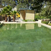 ویلا-12000متر-مشکین-دشت