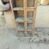 جفتکن کفتر۸۰۰تومن