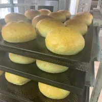 نان فانتزی