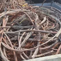 ضایعات به نرخ عمده سراسر بوشهر