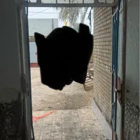 فروش تعدادی درب و پنجره آهنی دست دو