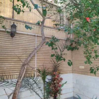 ویلایی جنب داروخانه دکتر کاویانی، مصلی|فروش زمین و ملک کلنگی|قم, صفائیه|دیوار