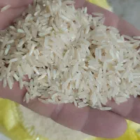 برنج شیروان درجه یک ضیغمی وعنبر طارم کیسه ای ک 250|عمده‌فروشی|سیروان, |دیوار