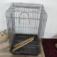 قفس ۱۰۳۳
