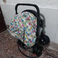 کالسکه دلیجان|کالسکه و لوازم جانبی|مشهد, طبرسی شمالی|دیوار