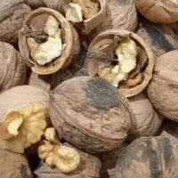 فروش گردو  محلی