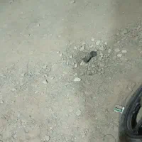 دوچرخه
