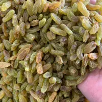 کشمش سبز کاشمر|خوردنی و آشامیدنی|تهران, بوستان چیتگر|دیوار