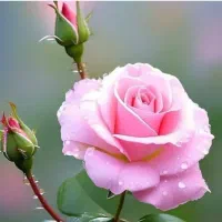 آپارتمان ۷۳ متری تکواحدی کلید نخورده