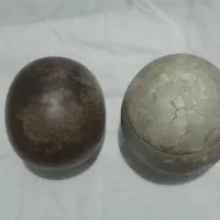 مهره های قدیمی زیرخاکی بشرط