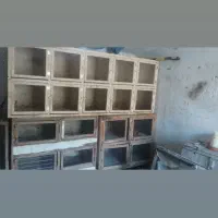 فروش جفت کن کبوتر